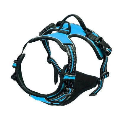 Adjustable Dog Collar & Leash Set