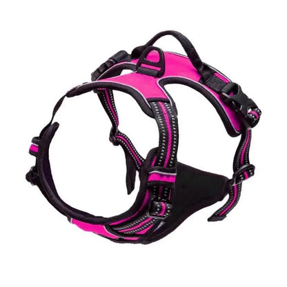 Adjustable Dog Collar & Leash Set