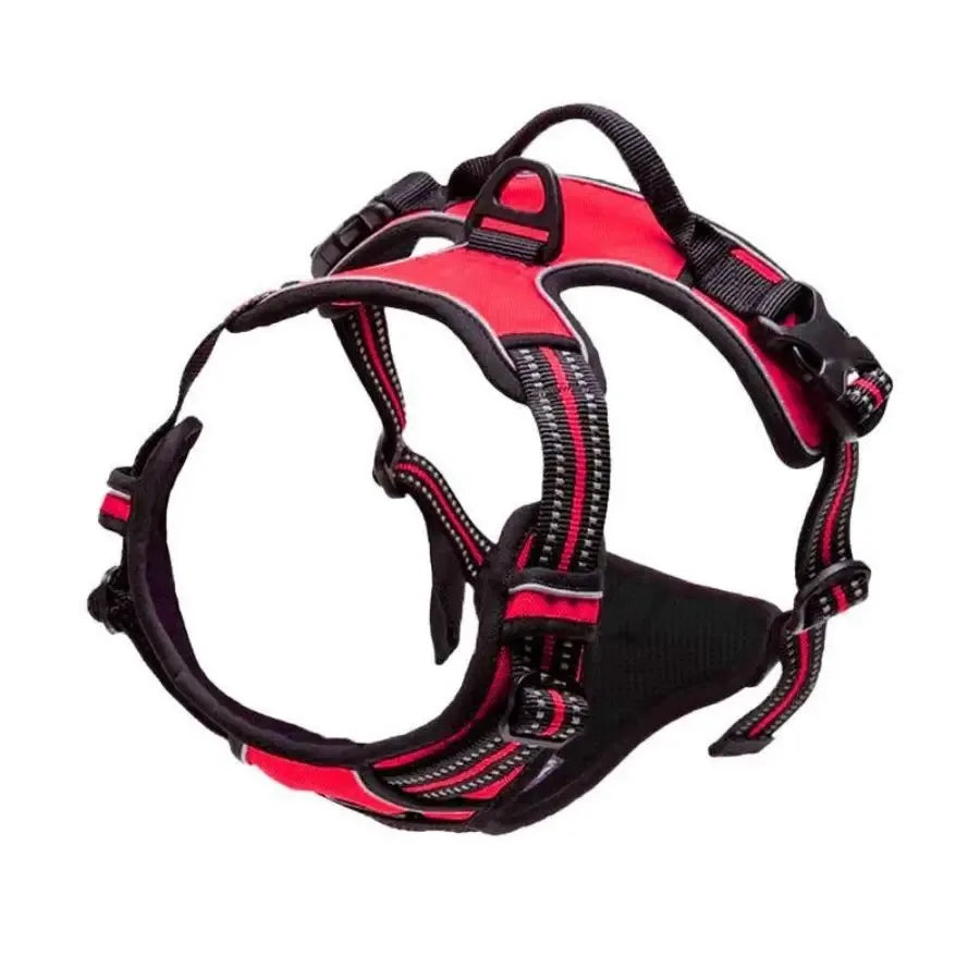 Adjustable Dog Collar & Leash Set