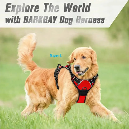 Adjustable Dog Collar & Leash Set