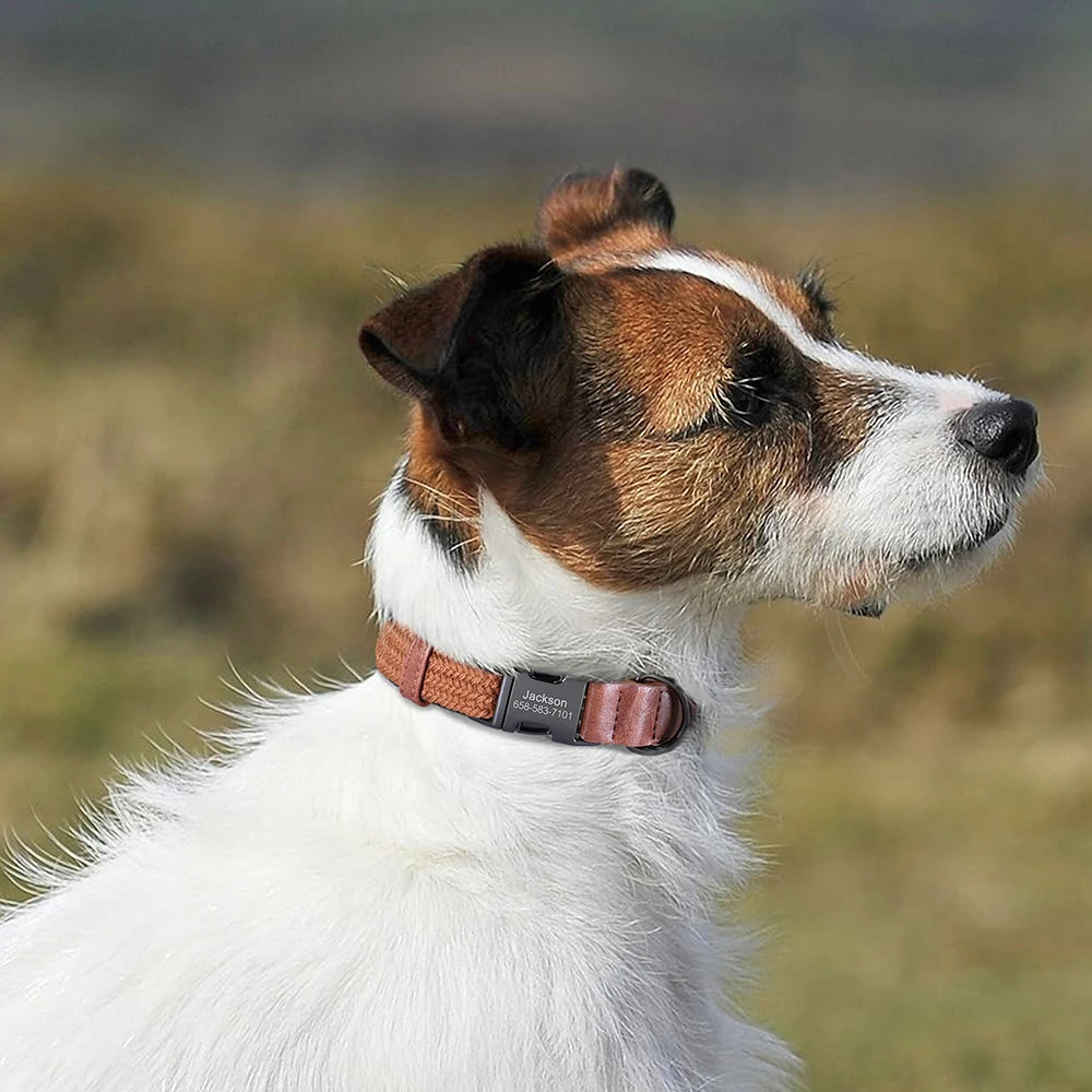 Personalized Engraved Dog Collar
