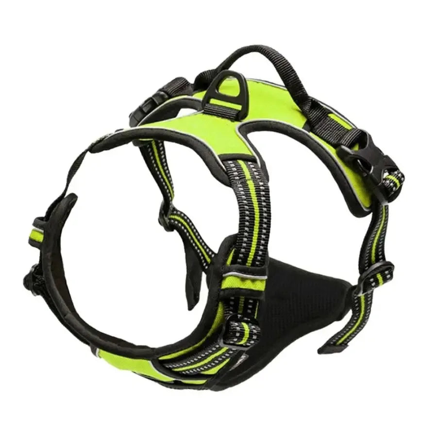 Adjustable Dog Collar & Leash Set