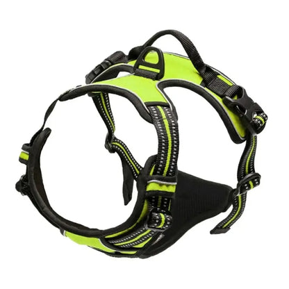 Adjustable Dog Collar & Leash Set