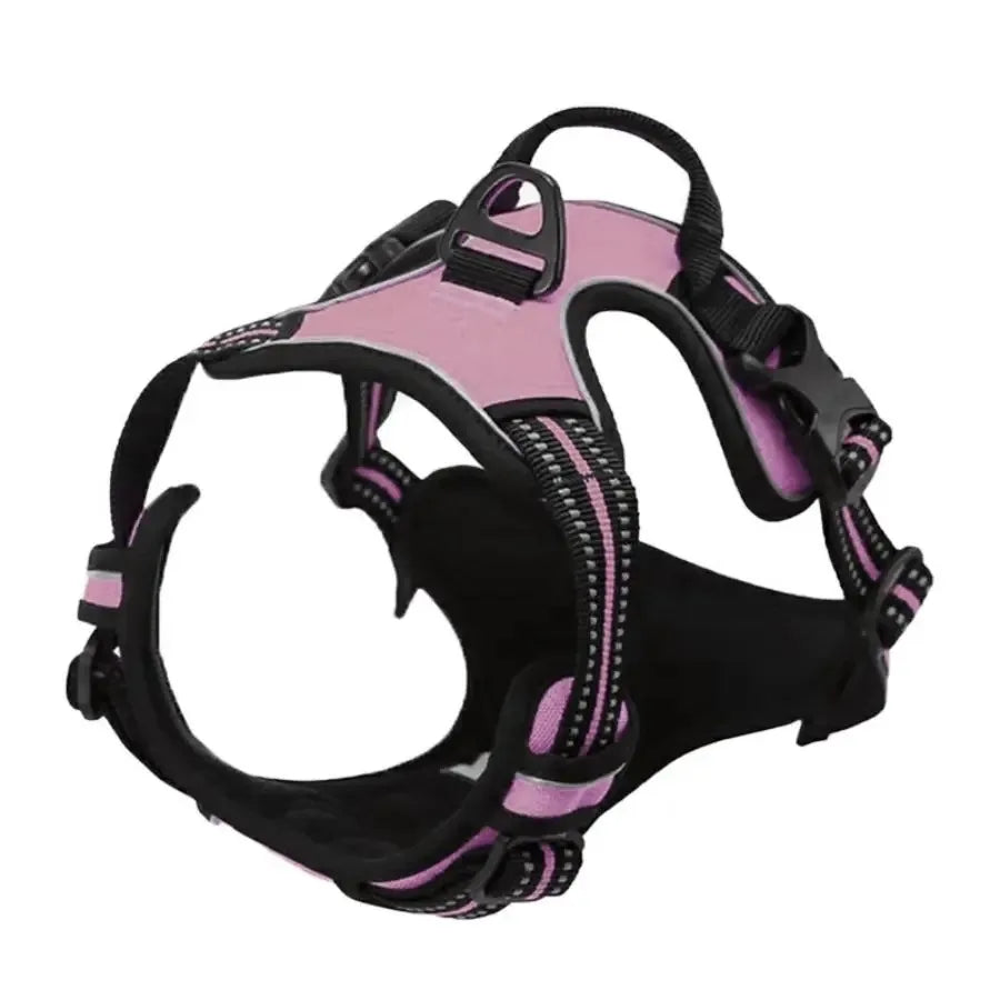 Adjustable Dog Collar & Leash Set