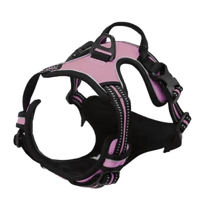 Adjustable Dog Collar & Leash Set
