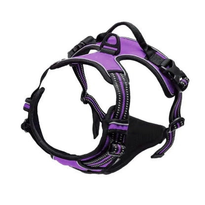 Adjustable Dog Collar & Leash Set