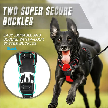 Adjustable Dog Collar & Leash Set