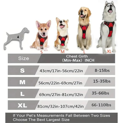 Adjustable Dog Collar & Leash Set