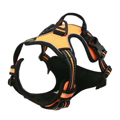 Adjustable Dog Collar & Leash Set