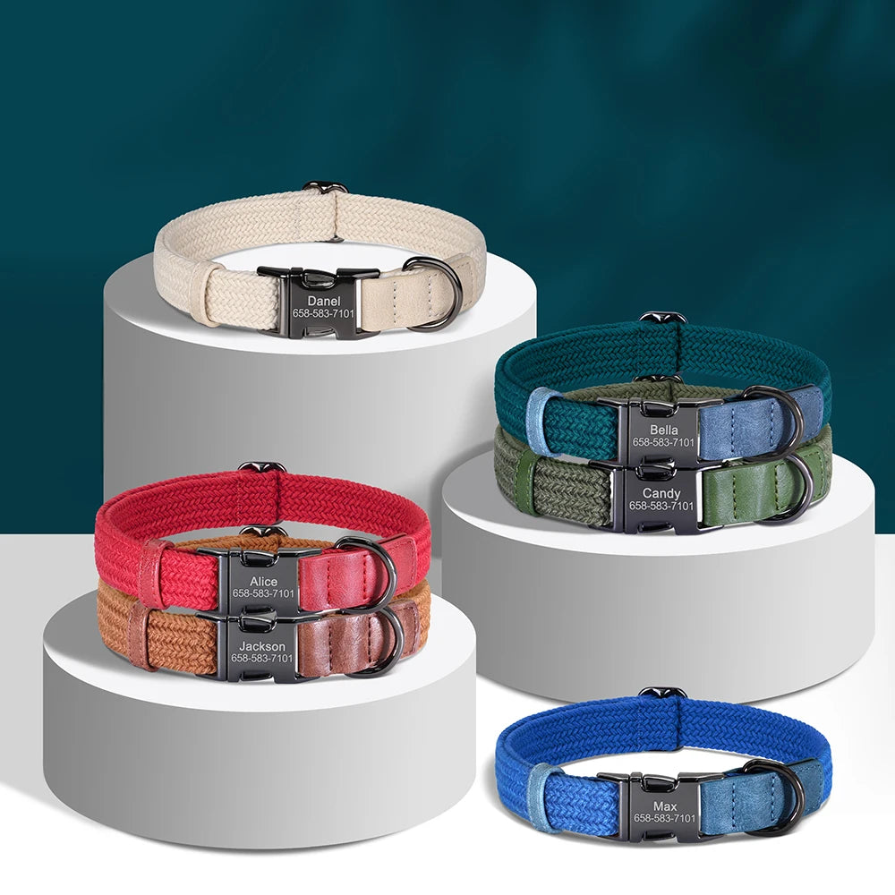 Personalized Engraved Dog Collar