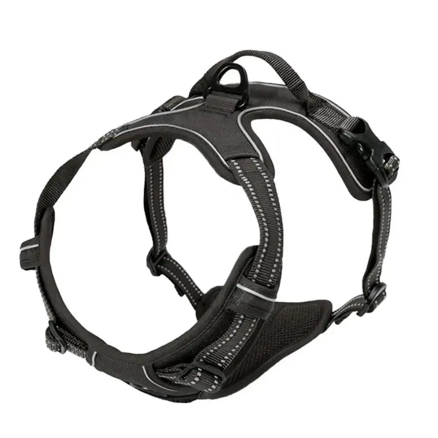 Adjustable Dog Collar & Leash Set