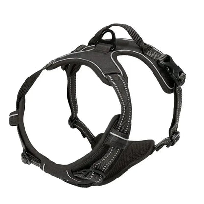 Adjustable Dog Collar & Leash Set